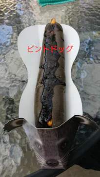 神戸どうぶつ王国に投稿された画像（2022/1/16）