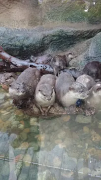 神戸どうぶつ王国に投稿された画像（2022/1/16）