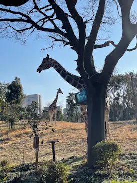 天王寺動物園に投稿された画像（2022/1/16）