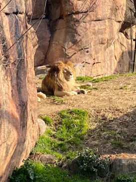 天王寺動物園に投稿された画像（2022/1/16）