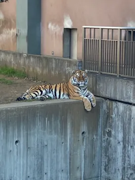 天王寺動物園に投稿された画像（2022/1/16）