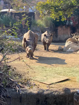 天王寺動物園に投稿された画像（2022/1/16）