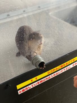 大分マリーンパレス水族館 「うみたまご」に投稿された画像（2022/1/16）