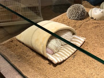 HARRY　原宿駅前店に投稿された画像（2022/1/16）