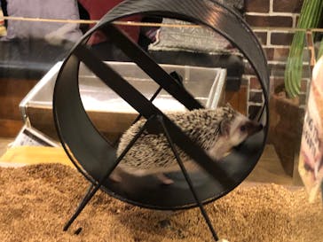 HARRY　原宿駅前店に投稿された画像（2022/1/16）