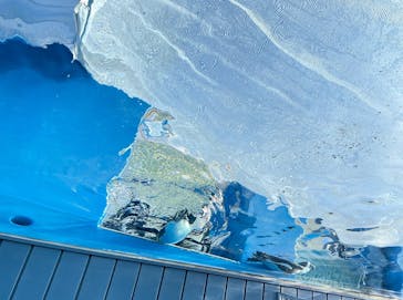 サンシャイン水族館に投稿された画像（2022/1/16）