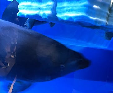 サンシャイン水族館に投稿された画像（2022/1/16）