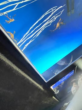 サンシャイン水族館に投稿された画像（2022/1/16）