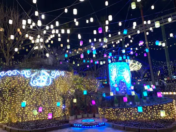 ひらかたパークに投稿された画像（2022/1/16）