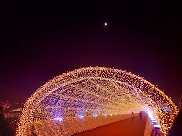 東京メガイルミに投稿された画像（2022/1/16）