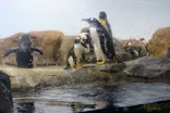 マクセル アクアパーク品川に投稿された画像（2022/1/16）