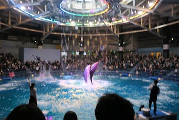 マクセル アクアパーク品川に投稿された画像（2022/1/16）