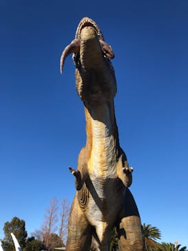 伊豆ぐらんぱる公園に投稿された画像（2022/1/16）