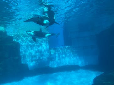 名古屋港水族館に投稿された画像（2022/1/16）