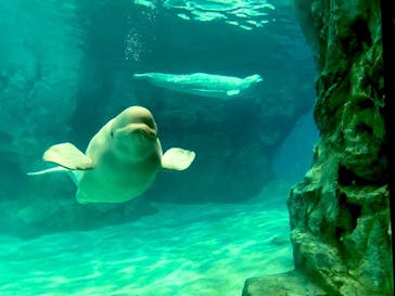 名古屋港水族館に投稿された画像（2022/1/16）