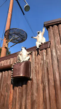 神戸どうぶつ王国に投稿された画像（2022/1/16）