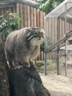 神戸どうぶつ王国に投稿された画像（2022/1/16）