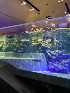 すみだ水族館に投稿された画像（2022/1/16）