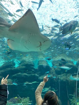 名古屋港水族館に投稿された画像（2022/1/16）
