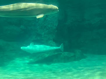 名古屋港水族館に投稿された画像（2022/1/16）