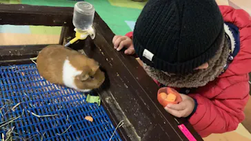 ひらかたパークに投稿された画像（2022/1/16）