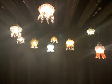 京都水族館に投稿された画像（2022/1/16）