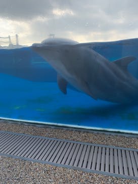 京都水族館に投稿された画像（2022/1/16）