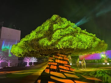 東京メガイルミに投稿された画像（2022/1/16）