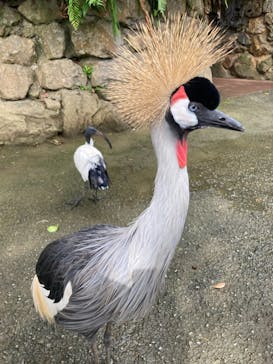 ネオパークオキナワに投稿された画像（2022/1/16）