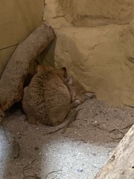 ネオパークオキナワに投稿された画像（2022/1/16）