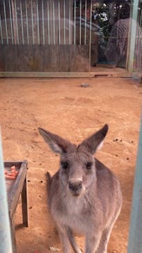 沖縄こどもの国に投稿された画像（2022/1/16）