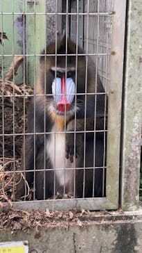 沖縄こどもの国に投稿された画像（2022/1/16）