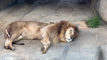 沖縄こどもの国に投稿された画像（2022/1/16）