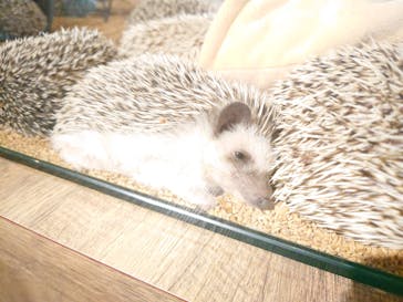 HARRY　原宿駅前店に投稿された画像（2022/1/16）