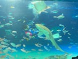 サンシャイン水族館に投稿された画像（2022/1/16）
