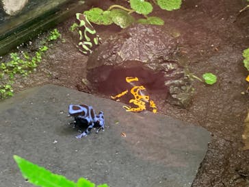 サンシャイン水族館に投稿された画像（2022/1/16）