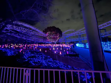 ひらかたパークに投稿された画像（2022/1/16）