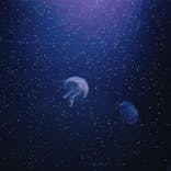 サンシャイン水族館に投稿された画像（2022/1/17）