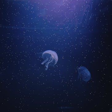 サンシャイン水族館に投稿された画像（2022/1/16）