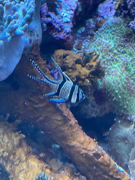 サンシャイン水族館に投稿された画像（2022/1/16）