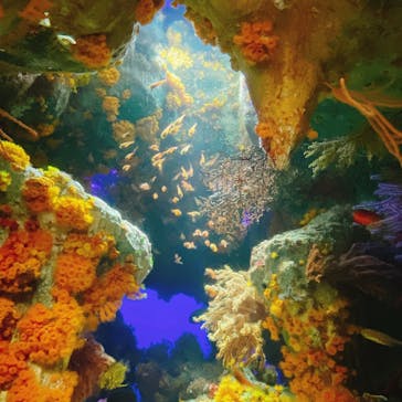 サンシャイン水族館に投稿された画像（2022/1/16）