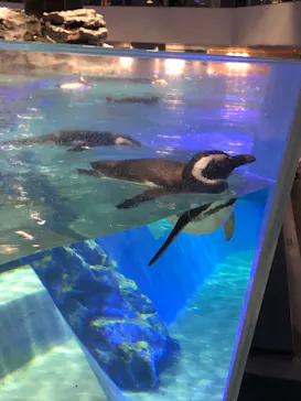 すみだ水族館に投稿された画像（2022/1/16）