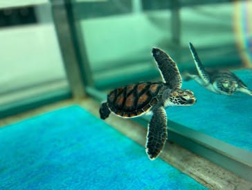 名古屋港水族館に投稿された画像（2022/1/16）