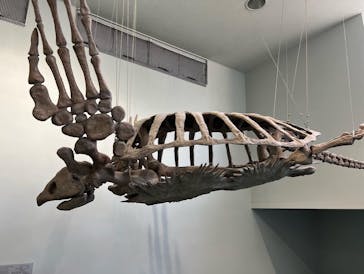 名古屋港水族館に投稿された画像（2022/1/16）