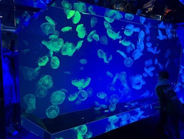 名古屋港水族館に投稿された画像（2022/1/16）