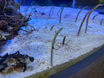 名古屋港水族館に投稿された画像（2022/1/16）