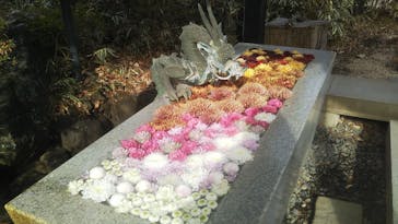 よみうりランド HANA･BIYORIに投稿された画像（2022/1/16）