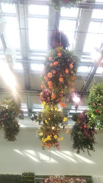 よみうりランド HANA･BIYORIに投稿された画像（2022/1/16）