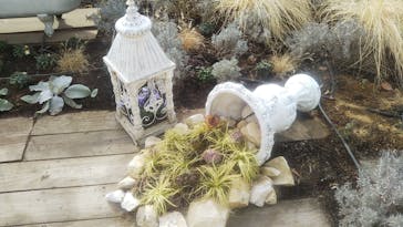 よみうりランド HANA･BIYORIに投稿された画像（2022/1/16）