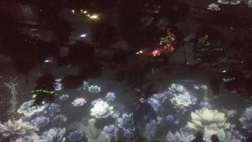 よみうりランド HANA･BIYORIに投稿された画像（2022/1/16）